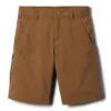 Boys' Columbia Silver Ridge IV Chino Shorts