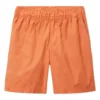 Toddler Boys' Columbia Washed Out Hybrid Shorts -Columbia 19597850026