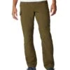 Columbia Silver Ridge™ Convertible Pant -Columbia 61boZGVAXGL. AC SR736920