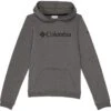 Columbia Kids Trek™ Hoodie (Little Kids/Big Kids) -Columbia 71EwZaGP0mL. AC SR736920